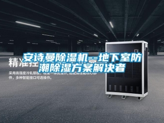 企業新聞安詩曼除濕機--地下室防潮除濕方案解決者