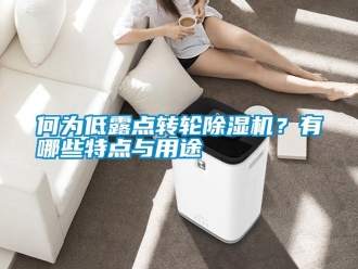 行業(yè)新聞何為低露點轉(zhuǎn)輪除濕機？有哪些特點與用途