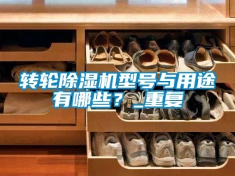 常見問題轉輪除濕機型號與用途有哪些？_重復