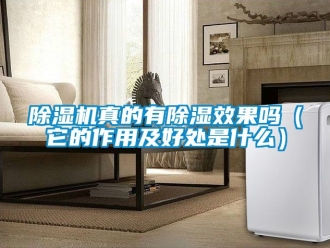 行業新聞除濕機真的有除濕效果嗎（它的作用及好處是什么）