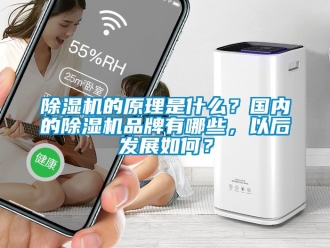 企業(yè)新聞除濕機(jī)的原理是什么？國(guó)內(nèi)的除濕機(jī)品牌有哪些，以后發(fā)展如何？