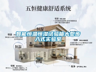 知識百科智能恒溫恒濕試驗箱大型步入式實驗室