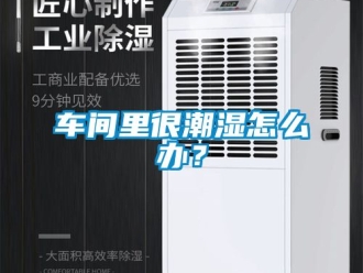 企業新聞車間里很潮濕怎么辦？