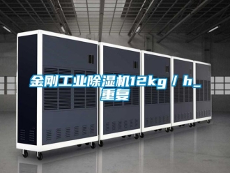 常見問題金剛工業除濕機12kg／h_重復