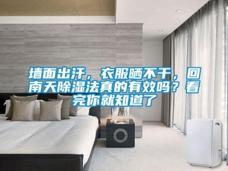 常見問題墻面出汗，衣服曬不干，回南天除濕法真的有效嗎？看完你就知道了