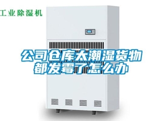 常見(jiàn)問(wèn)題公司倉(cāng)庫(kù)太潮濕貨物都發(fā)霉了怎么辦