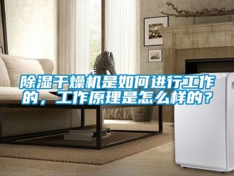 企業(yè)新聞除濕干燥機是如何進行工作的，工作原理是怎么樣的？