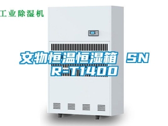 知識百科文物恒溫恒濕箱 SNR-T1400
