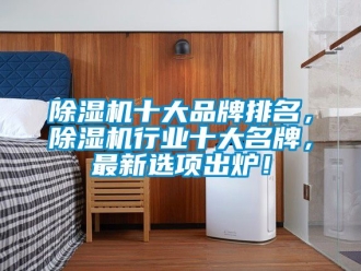 企業新聞除濕機十大品牌排名，除濕機行業十大名牌，最新選項出爐！