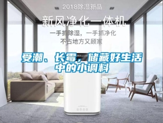 知識百科受潮、長霉，儲藏好生活中的小調(diào)料