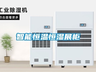 知識百科智能恒溫恒濕展柜