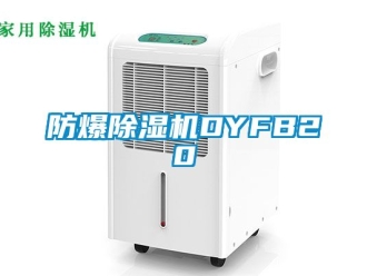 企業新聞防爆除濕機DYFB20