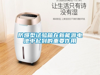 企業新聞防爆型試驗箱在新能源電池中起到的重要作用