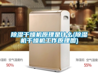 企業(yè)新聞除濕干燥機(jī)原理是什么(除濕機(jī)干燥機(jī)工作原理圖)
