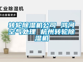 常見問題轉輪除濕機公司 鴻河空氣處理 杭州轉輪除濕機