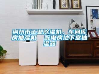 常見問題荊州市工業(yè)除濕機(jī)，車間庫(kù)房抽濕機(jī)  配電房地下室抽濕器