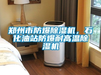 企業(yè)新聞鄭州市防爆除濕機(jī)，石化油站防爆耐高溫除濕機(jī)