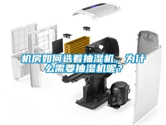 企業新聞機房如何選著抽濕機，為什么需要抽濕機呢？