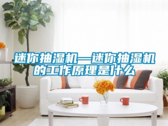 企業新聞迷你抽濕機—迷你抽濕機的工作原理是什么