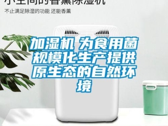 行業新聞加濕機　為食用菌規模化生產提供原生態的自然環境
