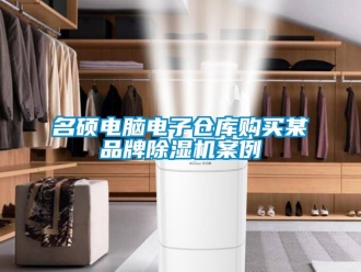 行業新聞名碩電腦電子倉庫購買某品牌除濕機案例