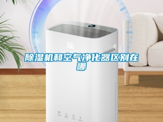 行業新聞除濕機和空氣凈化器區別在哪