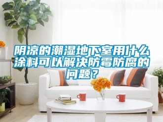 企業新聞陰涼的潮濕地下室用什么涂料可以解決防霉防腐的問題？