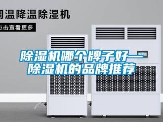 企業(yè)新聞除濕機(jī)哪個(gè)牌子好—除濕機(jī)的品牌推薦