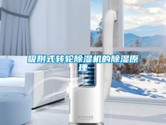 知識百科吸附式轉輪除濕機的除濕原理