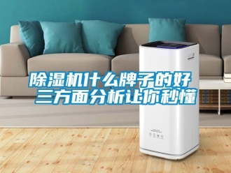 行業新聞除濕機什么牌子的好 三方面分析讓你秒懂