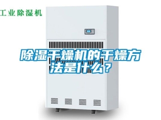企業(yè)新聞除濕干燥機的干燥方法是什么？