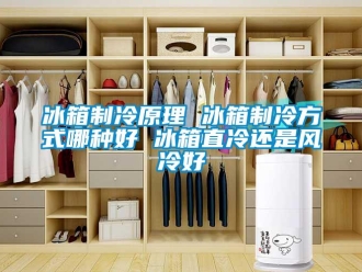 常見(jiàn)問(wèn)題冰箱制冷原理 冰箱制冷方式哪種好 冰箱直冷還是風(fēng)冷好