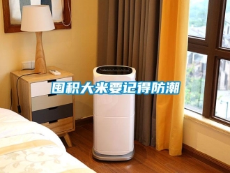 企業新聞囤積大米要記得防潮