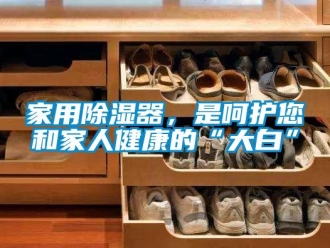 行業(yè)新聞家用除濕器，是呵護您和家人健康的“大白”