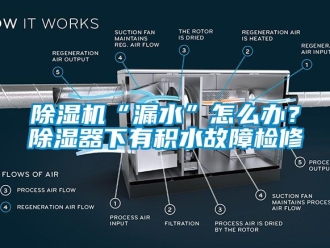 企業新聞除濕機“漏水”怎么辦？除濕器下有積水故障檢修