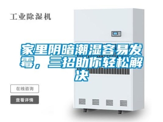 行業(yè)新聞家里陰暗潮濕容易發(fā)霉，三招助你輕松解決