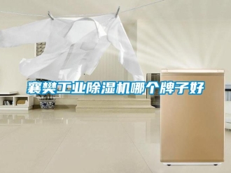 常見問題襄樊工業除濕機哪個牌子好