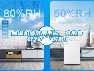 行業新聞除濕機清潔用毛刷，真的有效嗎？「傲群」