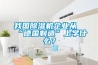 我國(guó)除濕機(jī)企業(yè)從“德國(guó)制造”上學(xué)什么？