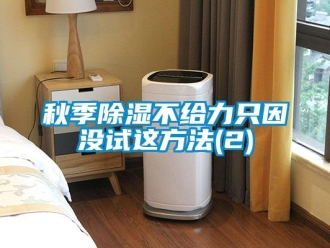 企業新聞秋季除濕不給力只因沒試這方法(2)