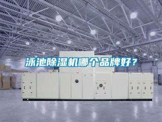 企業新聞泳池除濕機哪個品牌好？