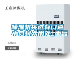 行業新聞除濕機挑選有門道 小身材大用處_重復