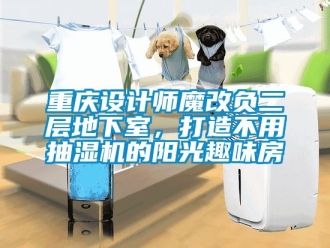 企業新聞重慶設計師魔改負二層地下室，打造不用抽濕機的陽光趣味房