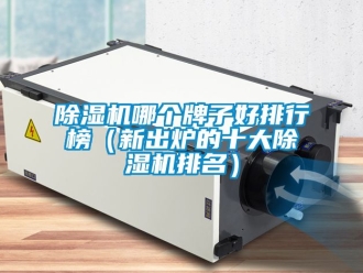 行業新聞除濕機哪個牌子好排行榜（新出爐的十大除濕機排名）