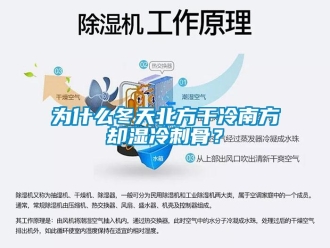 知識百科為什么冬天北方干冷南方卻濕冷刺骨？