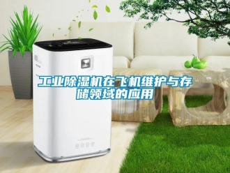 企業(yè)新聞工業(yè)除濕機在飛機維護與存儲領域的應用