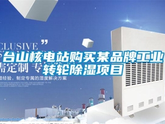 知識百科臺山核電站購買某品牌工業(yè)轉(zhuǎn)輪除濕項目