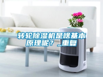 常見問題轉(zhuǎn)輪除濕機是啥基本原理呢？_重復(fù)