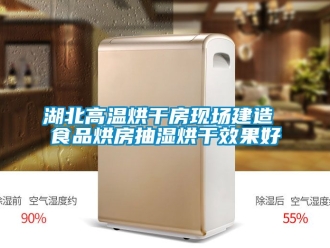 企業新聞湖北高溫烘干房現場建造 食品烘房抽濕烘干效果好
