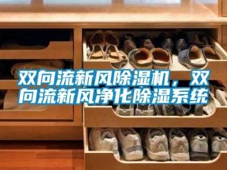 知識百科雙向流新風(fēng)除濕機(jī)，雙向流新風(fēng)凈化除濕系統(tǒng)